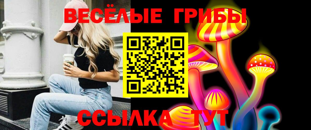 Псилоцибиновые грибы Psilocybine cubensis Верхняя Пышма